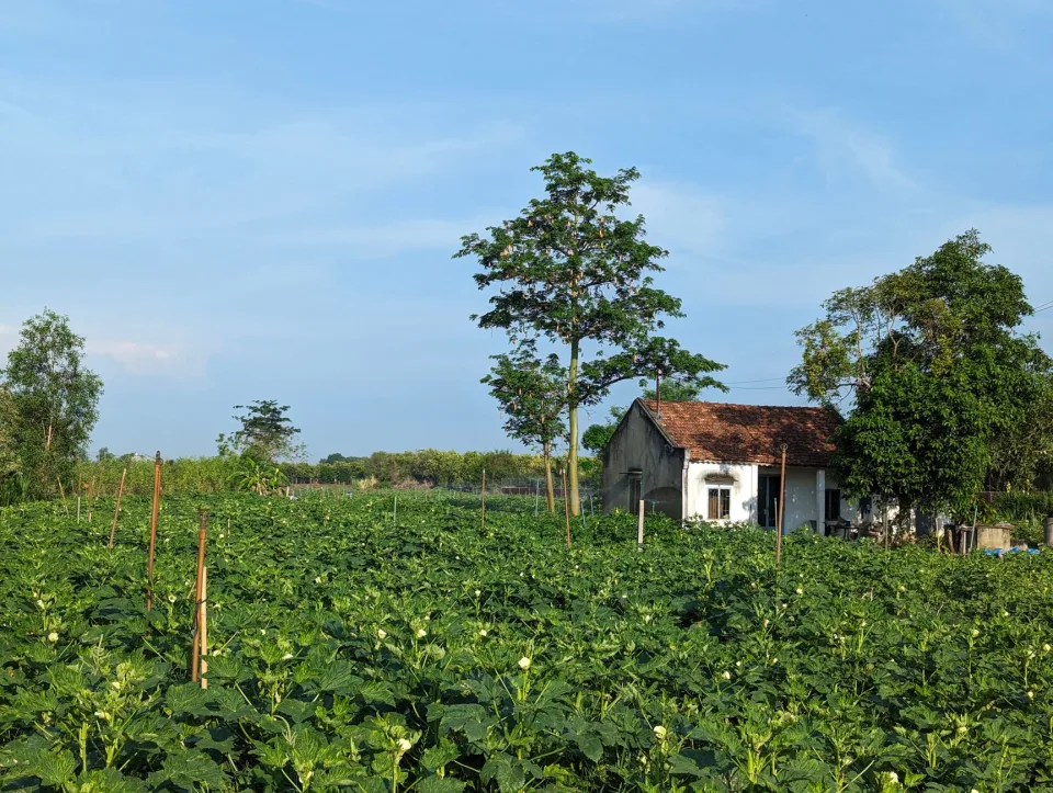 Nông sản khách chọn nhiều